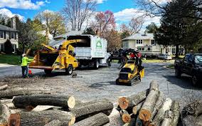 Best Tree Mulching  in Newtown, OH