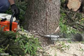 Best Soil Testing and Treatment  in Newtown, OH