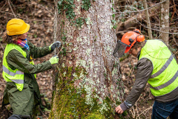 Best Tree Health Inspection  in Newtown, OH